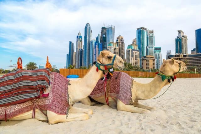 Gdzie leżą Zjednoczone Emiraty Arabskie? Odkryj ich położenie i sąsiadów Gdzie leżą Zjednoczone Emiraty Arabskie? Odkryj ich położenie i sąsiadów